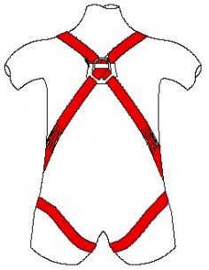 Harnais standard 2 points d'attaches 2