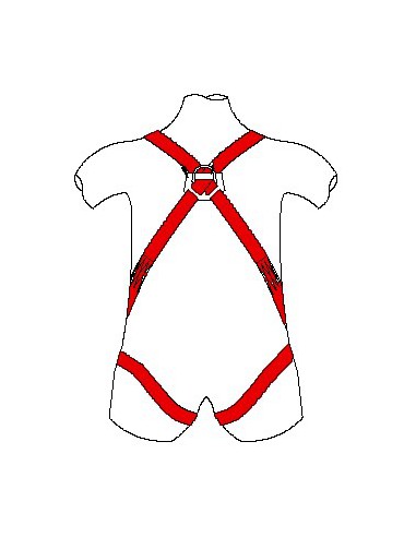 Harnais standard 2 points d'attaches