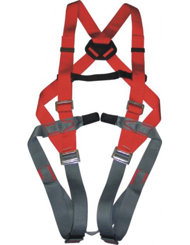 Harnais 2 points d'attaches