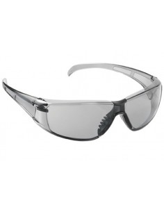 Lunettes de protection expert 60543