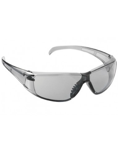 Lunettes de protection expert 60543
