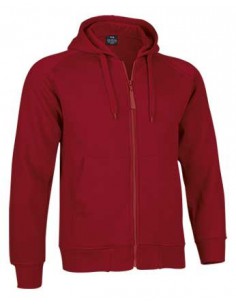 Sweat-zip capuche - RIDE 2